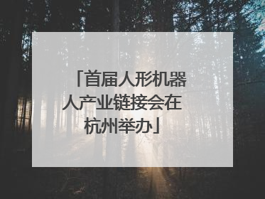 首届人形机器人产业链接会在杭州举办