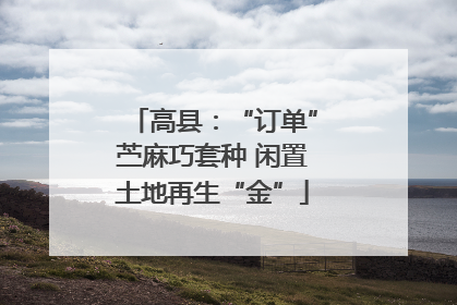 高县：“订单”苎麻巧套种 闲置土地再生“金”