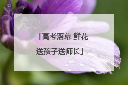 高考落幕 鲜花送孩子送师长