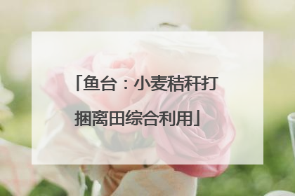 鱼台：小麦秸秆打捆离田综合利用