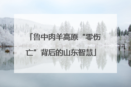 鲁中肉羊高原“零伤亡”背后的山东智慧