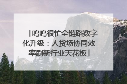 鸣鸣很忙全链路数字化升级：人货场协同效率刷新行业天花板