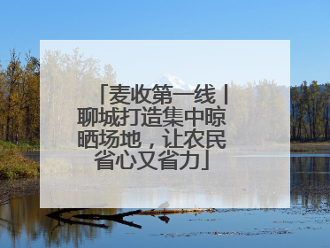 麦收第一线丨聊城打造集中晾晒场地，让农民省心又省力