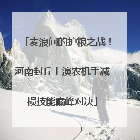 麦浪间的护粮之战！河南封丘上演农机手减损技能巅峰对决