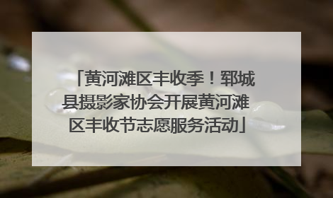 黄河滩区丰收季！郓城县摄影家协会开展黄河滩区丰收节志愿服务活动