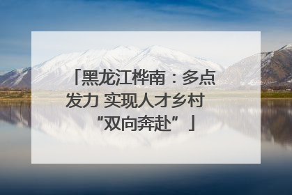 黑龙江桦南：多点发力 实现人才乡村“双向奔赴”