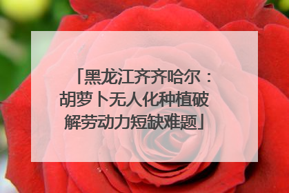 黑龙江齐齐哈尔：胡萝卜无人化种植破解劳动力短缺难题
