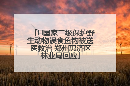 ﻿国家二级保护野生动物误食鱼钩被送医救治 郑州惠济区林业局回应