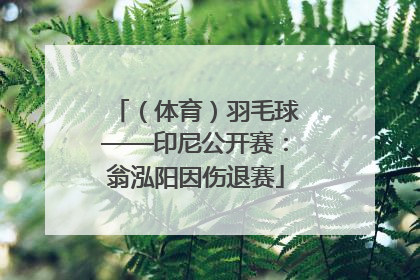 （体育）羽毛球——印尼公开赛：翁泓阳因伤退赛