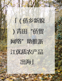 （侨乡新貌）青田“侨贸网络”助推浙江优质农产品出海