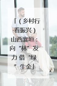 （乡村行·看振兴）山西襄垣：向“林”发力 借“绿”生金