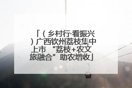 （乡村行·看振兴）广西钦州荔枝集中上市 “荔枝+农文旅融合”助农增收