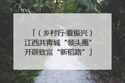 （乡村行·看振兴）江西共青城“领头雁”开辟致富“新稻路”