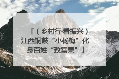 （乡村行·看振兴）江西铜鼓“小杨梅”化身百姓“致富果”