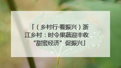 （乡村行·看振兴）浙江乡村：时令果蔬迎丰收 “甜蜜经济”促振兴