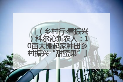 （乡村行·看振兴）科尔沁新农人：10亩大棚起家种出乡村振兴“甜蜜果”