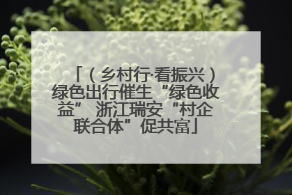 （乡村行·看振兴）绿色出行催生“绿色收益” 浙江瑞安“村企联合体”促共富
