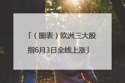 （图表）欧洲三大股指6月3日全线上涨