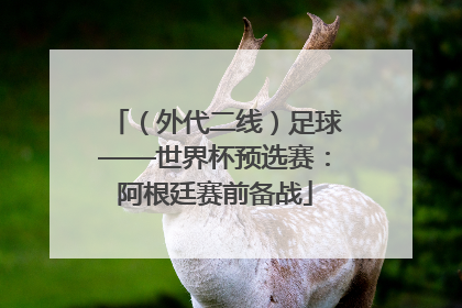 （外代二线）足球——世界杯预选赛：阿根廷赛前备战