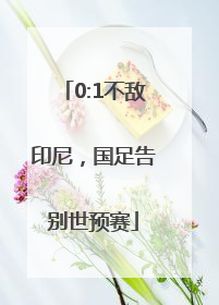 0:1不敌印尼，国足告别世预赛