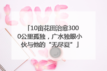 10亩花田治愈3000公里孤独，广水独眼小伙与他的“无尽夏”