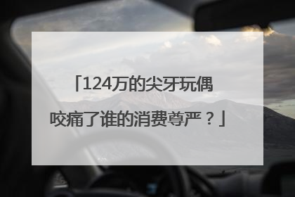 124万的尖牙玩偶 咬痛了谁的消费尊严？