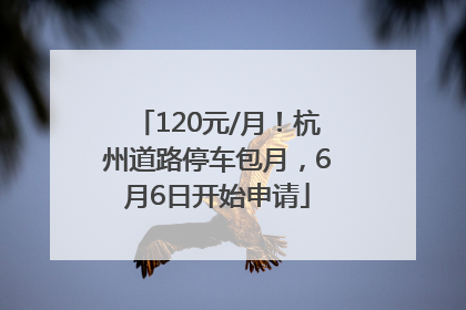 120元/月！杭州道路停车包月，6月6日开始申请