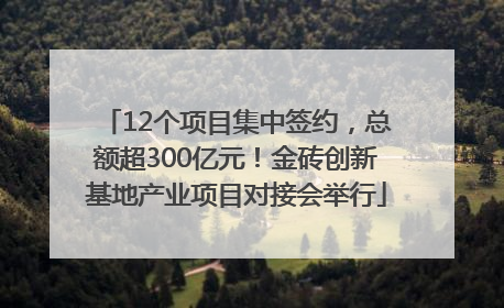 12个项目集中签约，总额超300亿元！金砖创新基地产业项目对接会举行