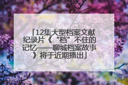 12集大型档案文献纪录片《“档”不住的记忆——聊城档案故事》将于近期播出