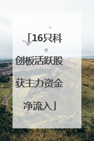 16只科创板活跃股获主力资金净流入