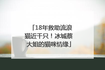 18年救助流浪猫近千只！冰城蔡大姐的猫咪情缘
