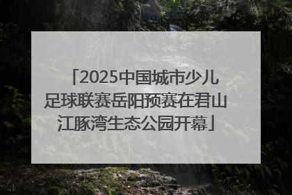 2025中国城市少儿足球联赛岳阳预赛在君山江豚湾生态公园开幕