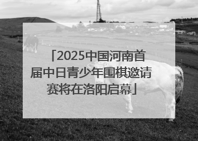 2025中国河南首届中日青少年围棋邀请赛将在洛阳启幕