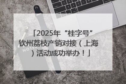 2025年“桂字号”钦州荔枝产销对接（上海）活动成功举办！