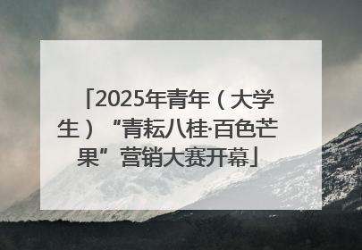 2025年青年（大学生）“青耘八桂·百色芒果”营销大赛开幕