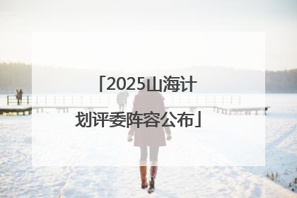 2025山海计划评委阵容公布