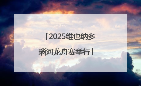 2025维也纳多瑙河龙舟赛举行