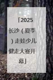 2025长沙（夏季）走娃少儿健走大赛开幕