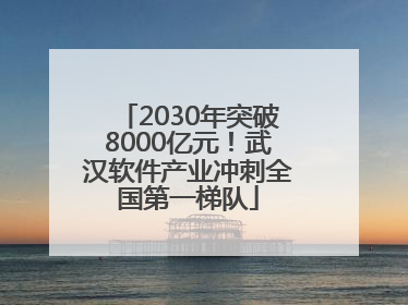 2030年突破8000亿元！武汉软件产业冲刺全国第一梯队