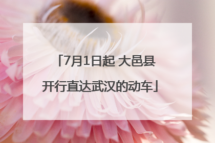 7月1日起 大邑县开行直达武汉的动车