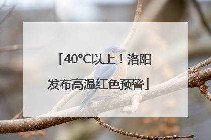 40°C以上！洛阳发布高温红色预警