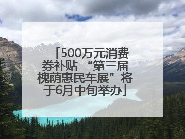 500万元消费券补贴 “第三届槐荫惠民车展”将于6月中旬举办