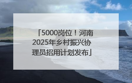 5000岗位！河南2025年乡村振兴协理员招用计划发布