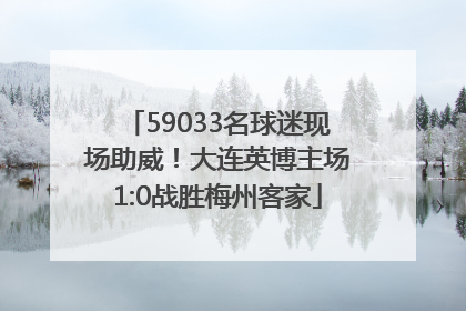 59033名球迷现场助威！大连英博主场1:0战胜梅州客家