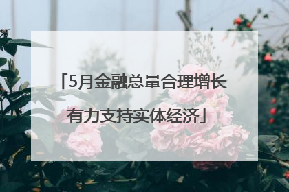 5月金融总量合理增长 有力支持实体经济