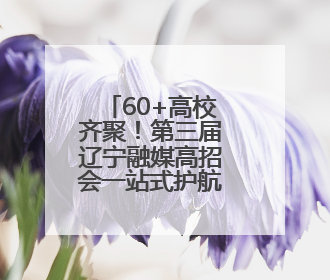 60+高校齐聚！第三届辽宁融媒高招会一站式护航考生升学路