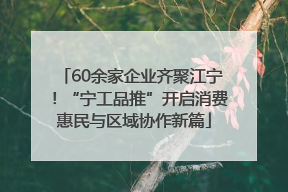 60余家企业齐聚江宁！“宁工品推”开启消费惠民与区域协作新篇