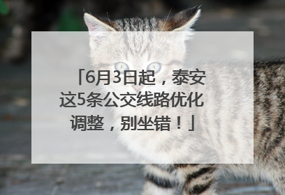 6月3日起，泰安这5条公交线路优化调整，别坐错！