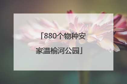 880个物种安家温榆河公园