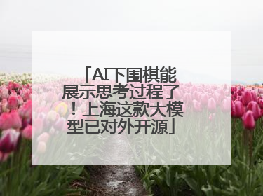 AI下围棋能展示思考过程了！上海这款大模型已对外开源